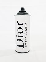 Bombe peinture DIOR B/W