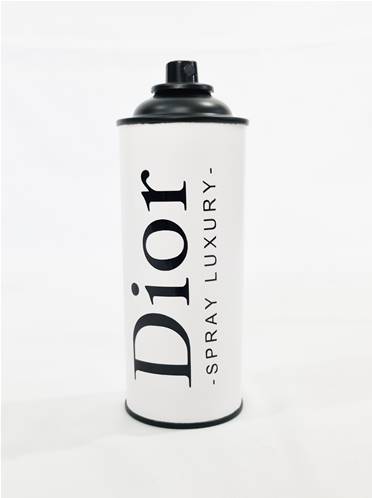 Bombe peinture DIOR B/W